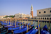 Gondolas moored at Riva degli Schiavoni with the Doges Palace and Campanile of San Marco background, Venice, UNESCO World Heritage Site, Veneto region, Italy, Europe