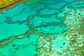 Bangka (boat) over coral, Chindonan Island, Calamian Islands, Coron, Palawan, Philippines, Southeast Asia, Asia