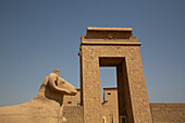 Tor zum Khonsu-Tempel, Sphinx mit Widderkopf im Vordergrund, Karnak-Tempelkomplex, UNESCO-Welterbe, Luxor, Ägypten, Nordafrika, Afrika