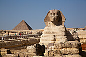 Große Sphinx von Gizeh, Chephren-Pyramide im Hintergrund, Pyramidenkomplex von Gizeh, UNESCO-Welterbe, Gizeh, Ägypten, Nordafrika, Afrika