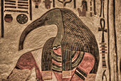 Bildnis des Gottes Thoth, Gemälde und Relief, Grab der Nefertari, QV66, Tal der Königinnen, Antikes Theben, UNESCO-Welterbe, Luxor, Ägypten, Nordafrika, Afrika