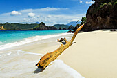 Treibholz am weißen Sandstrand der wunderschönen Insel Mahoro mit den dahinter liegenden Inseln Masare und Pahepa, Mahoro, Siau, Sangihe-Archipel, Nordsulawesi, Indonesien, Südostasien, Asien