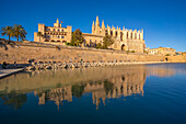 Blick auf die Kathedrale-BasA?lica de Santa MarA?a de Mallorca vom Passeig MarA?time aus, Palma de Mallorca, Mallorca, Balearen, Spanien, Mittelmeer, Europa