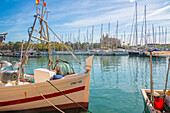 Blick auf die Kathedrale-BasA?lica de Santa Maria de Mallorca vom Passeig MarA?time, Palma de Mallorca, Mallorca, Balearische Inseln, Spanien, Mittelmeer, Europa