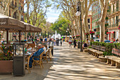 Blick auf Cafés am Paseo del Borne, Palma de Mallorca, Mallorca, Balearen, Spanien, Mittelmeer, Europa