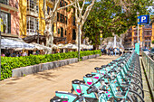 Blick auf Cafés und Fahrräder entlang der Avenue d'Antoni Maura, Palma de Mallorca, Mallorca, Balearen, Spanien, Mittelmeer, Europa