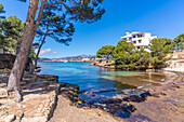 Blick auf den Strand Es Calo d'en Pellicer in Santa Ponsa, Mallorca, Balearen, Spanien, Mittelmeer, Europa