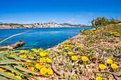 View of rocky shoreline by turquoise sea and Santa Ponsa, Majorca, Balearic Islands, Spain, Mediterranean, Europe