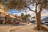 View of bars and cafes at Port d'Andratx, Majorca, Balearic Islands, Spain, Mediterranean, Europe