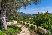 Blick auf die Landschaft in der Nähe der Bergstadt Caimari und Weinberge, Mallorca, Balearen, Spanien, Mittelmeer, Europa