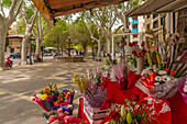 View of flower stall and fountain on tree lined La Rambla in Palma, Palma de Mallorca, Majorca, Balearic Islands, Spain, Mediterranean, Europe