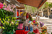 Blick auf einen Blumenstand auf der von Bäumen gesäumten La Rambla in Palma, Palma de Mallorca, Mallorca, Balearen, Spanien, Mittelmeer, Europa