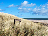 Dunes at the West Sands in St. Andrews, Fife, Scotland, United Kingdom, Europe