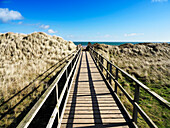 Dünen an den West Sands in St. Andrews, Fife, Schottland, Vereinigtes Königreich, Europa