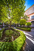 Serene garden in the main patio of the Museo de Bellas Artes, Seville, Spain. Beautiful greenery and historic architecture.