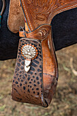 Detail of engraved silver trim on a tooled leather stirrup on a rodeo specialty act performing Andalusian horse at a rodeo in Utah.