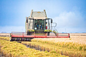 Combine harvester working in a rice field in Isla Mayor, located in the beautiful marshes of Doñana, Seville, Spain.