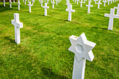 Rows of white crosses and a Star of David mark graves at the American military cemetery in Normandy, France. A place of solemn remembrance.