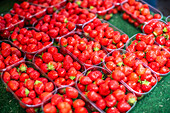 Frische Erdbeeren in Plastikbehältern auf einem Markt in Vannes, Bretagne, Frankreich. Eine lebendige und appetitliche Szene.