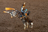 Professioneller Rodeo-Cowboy Jack Skavdahl bei einem Rodeo in Utah im Sattelreiten.