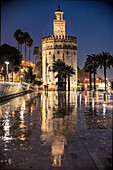 The Torre del Oro in Sevilla, Andalucía, España, reflects on the wet pavement during a beautiful rainy night.