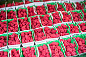 Nahaufnahme von frischen Himbeeren in grünen Kartons auf einem Markt in Vannes, Bretagne, Frankreich, die auf Frische und lokale Produkte hinweisen.