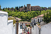 Beautiful panoramic view of La Alhambra from the charming Albaycin neighborhood in Granada, Andalucia, Spain. The historic architecture and lush greenery are well-highlighted.