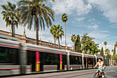 Vorbeifahrende elektrische Straßenbahn mit einem Radfahrer in der Straße San Fernando, Sevilla, mit der Tabakfabrik im Hintergrund.