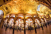 Unique fisheye perspective capturing the intricate ceiling and arches of the Cordoba Mosque in Andalusia, Spain.