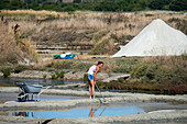 A worker harvests salt from the salt flats of Guerande in France using traditional methods on a sunny day.