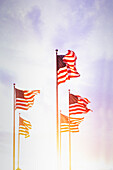 American flags blowing on wind against sky at sunset