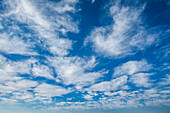 Weiße Schäfchenwolken vor blauem Himmel