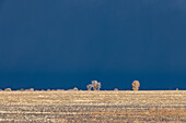 Stürmischer Himmel über Farmland