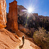 Rückansicht einer Frau, die an einem sonnigen Tag im Bryce Canyon National Park wandert