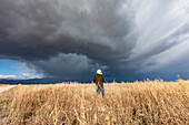 Rear view of woman standing in fall grasses under stormy sky