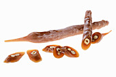 Churchkhela with nuts, traditional Georgian sweet