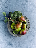 Pears with leaves in a concrete bowl