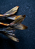 Tail fins of smoked mackerel