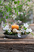 Dekoration Kleines Immergrün (Vinca) mit Wachteleiern und Kerze in Kuchenform dekoriert