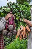 Women holding a bundle of freshly harvested beetroot and carrots