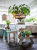 Großer, rustikaler Pflanzkübel und viele Pflanzen im Wohnzimmer