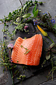 Raw salmon fillet with fresh herbs and flowers