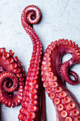 Raw octopus tentacles - close-up