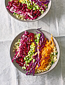 Rainbow-Salat mit Quinoa