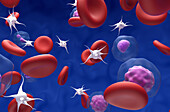 Polycythaemia vera blood cancer, illustration