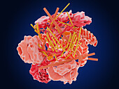 Lewy body molecular structure, illustration