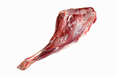 Raw venison leg on a white background
