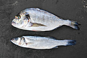 Raw sea bream and sea bass on black stone