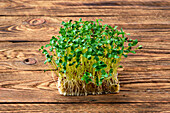 Leinsamen-Microgreens auf Holzplatte