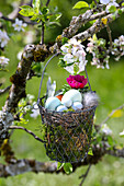 Österlich dekorierter Drahtkorb in blühendem Baum